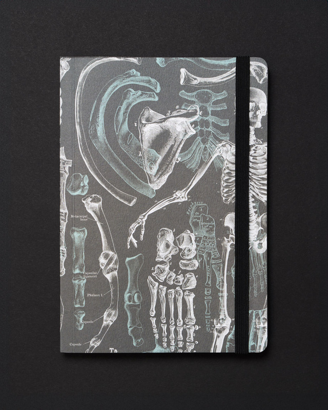 Cognitive Surplus Skeleton Dark Analysis A5 Black Paper Lined & Dot Notebook