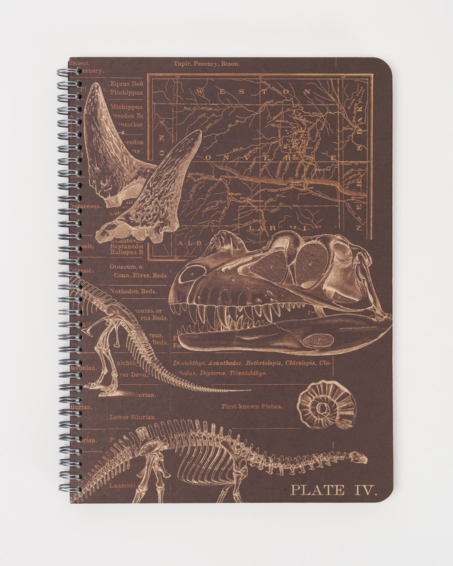 Cognitive Surplus Dinosaurs A5 Spiral Liined Notebook