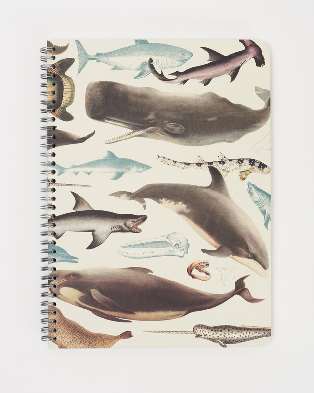 Cognitive Surplus Whales & Sharks A5 Spiral Liined Notebook 160 Pgs