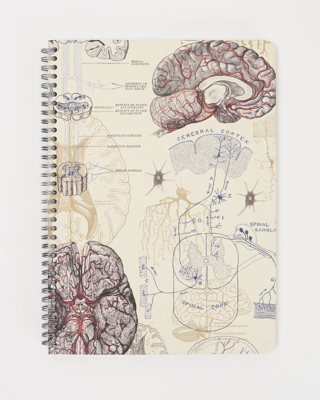 Cognitive Surplus Brain Anatomy A5 Spiral Liined Notebook