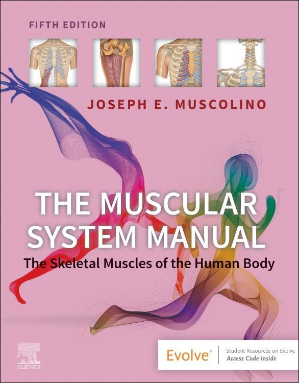 The Muscular System Manual: The Skeletal Muscles Of The Huma